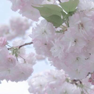 兽设黎明场景创作Furry群